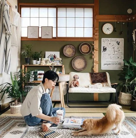 一人一狗蝸居19㎡小屋,引來3萬人圍觀!高收入小姐姐的歲月靜好 一人一狗蝸居19㎡小屋,引來3萬人圍觀!高收入小姐姐的歲月靜好