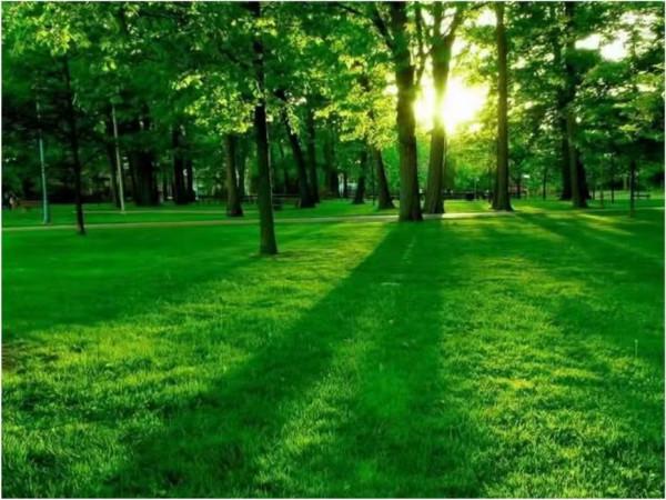 至一習慣：細說如何養成潔簡的好習慣