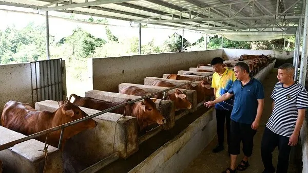 鄉村振興澎湃金融力量——交通銀行湖北省分行駐村幫扶工作紀實 鄉村振興澎湃金融力量——交通銀行湖北省分行駐村幫扶工作紀實