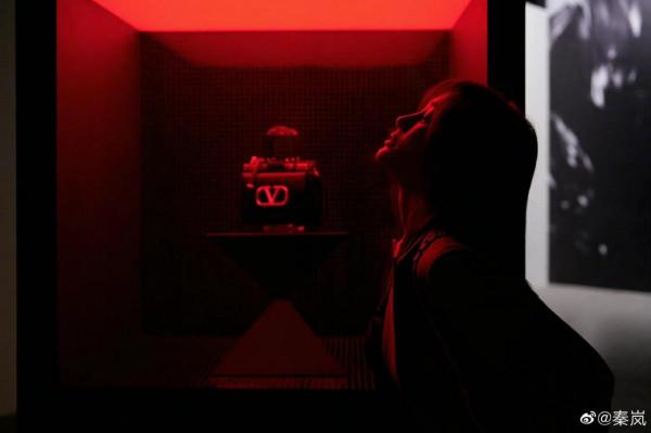 今日份新鮮的酷酷的秦嵐