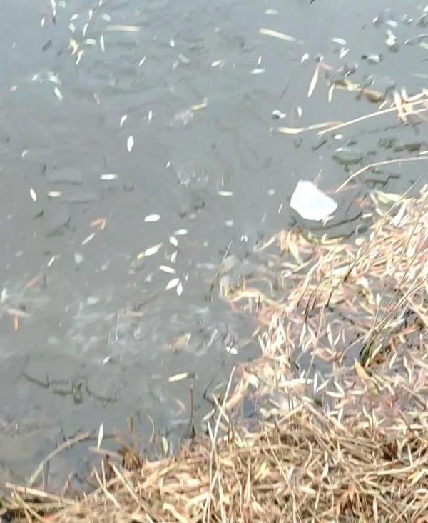 氣溫零下破冰垂釣,雙尾收杆漁獲爆盆 氣溫零下破冰垂釣,雙尾收杆漁獲爆盆