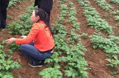 再現包租地大戶“退租”潮!除了不掙錢,還有這些原因存在 再現包租地大戶“退租”潮!除了不掙錢,還有這些原因存在