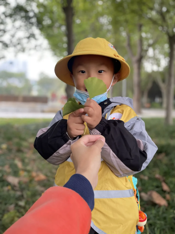 五龍新城匯愛幼稚園“匯”眼看世界大戶外再啟程，深秋下的植物園