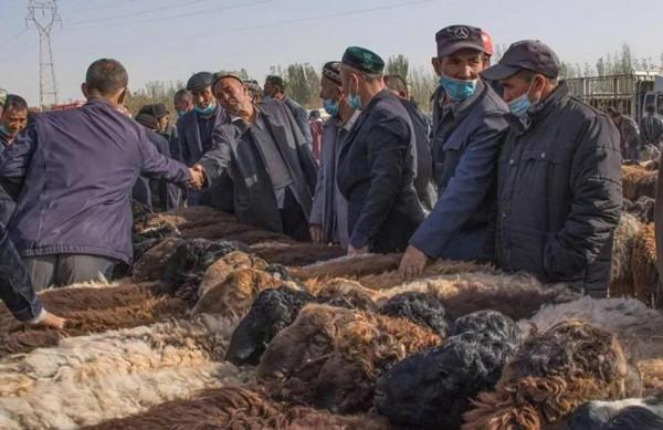 跟著秋天，去新疆