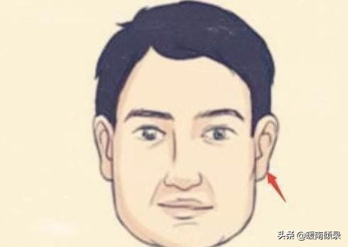 “額大面方，至老吉昌；頭小頸長，貧乏異常”，啥意思？有道理