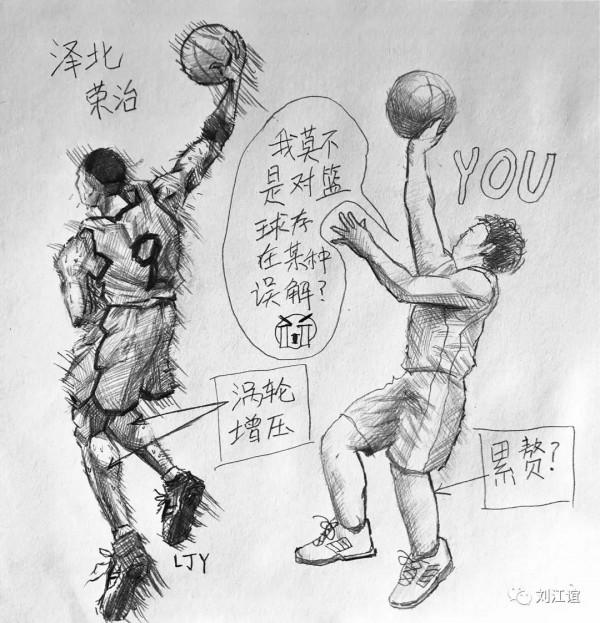 人類小腿形態研究 人類小腿形態研究