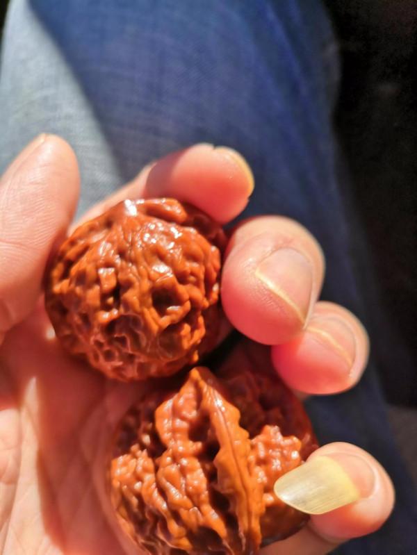 玉化感強的昌平悶尖核桃