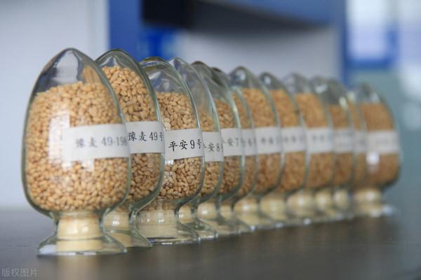 2021年影響中國農業的6大事件,有人受益有人舉步維艱,你咋樣? 2021年影響中國農業的6大事件,有人受益有人舉步維艱,你咋樣?