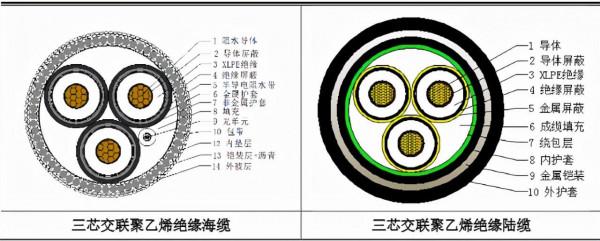 海纜行業：東方電纜&amp;中天科技基本面分析