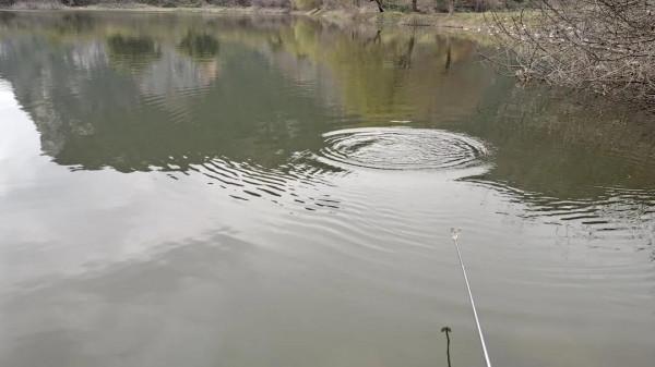 大魚“偷偷”潛入窩裡，會有這些徵兆出現，發現就要警惕起來了