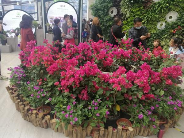 關節疼痛、僵硬，中醫有辦法，助您身手矯健、筋骨強勁