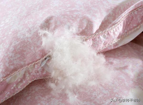 100年，50億生命的消失，美國旅鴿到底是如何被滅絕的？