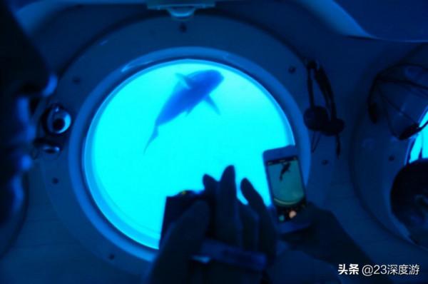 不會游泳也可以去找小丑魚跳海草舞！盤點全球可以坐潛水艇的景點