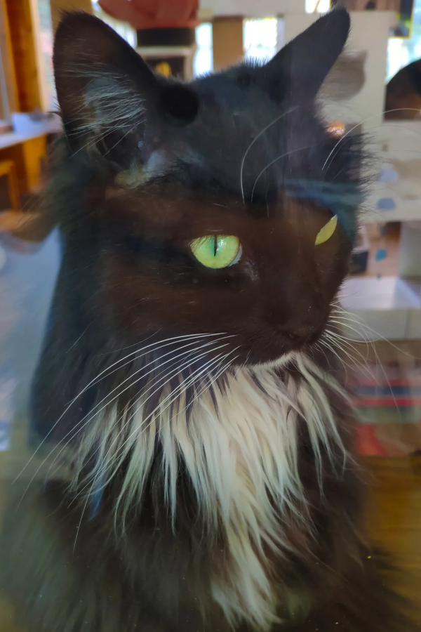 小甜妞兒喜歡硬枕頭