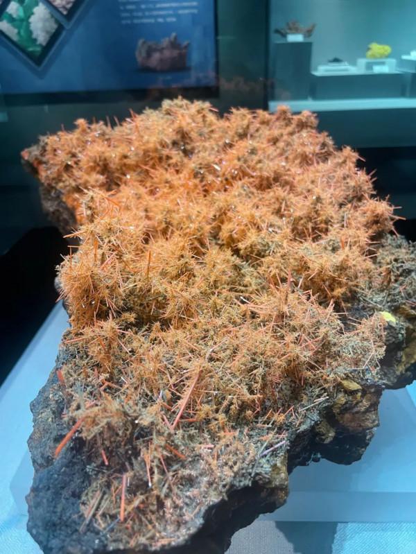 今天,邀請你一起去湖南省地質博物館,看萬物征途 今天,邀請你一起去湖南省地質博物館,看萬物征途