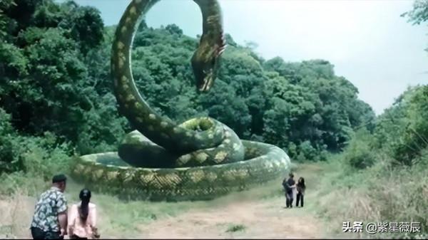 王牌飛行員奇遇:駕駛直升機在空中遭遇15米巨蟒,真相成謎 王牌飛行員奇遇:駕駛直升機在空中遭遇15米巨蟒,真相成謎