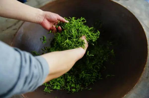 印度曾把茶葉做到世界第一,把中國茶葉逼入絕境,其中發生了什麼 印度曾把茶葉做到世界第一,把中國茶葉逼入絕境,其中發生了什麼