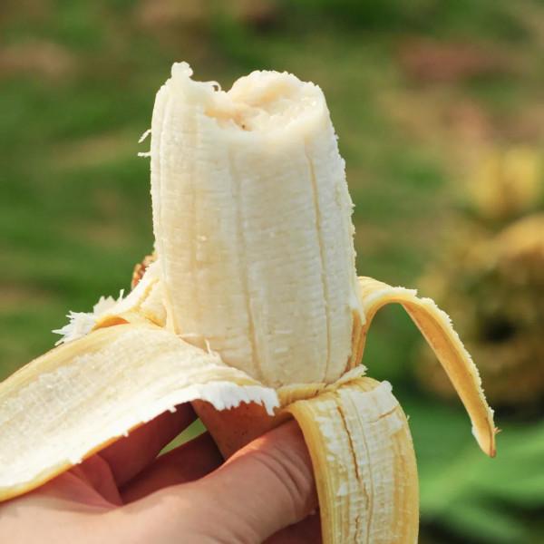 這些冷門小眾水果，低調的美味再也藏不住了