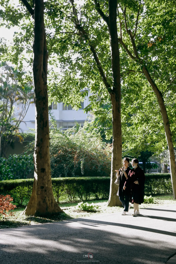 抓住秋天的影子，至少要去一次「華南植物園」