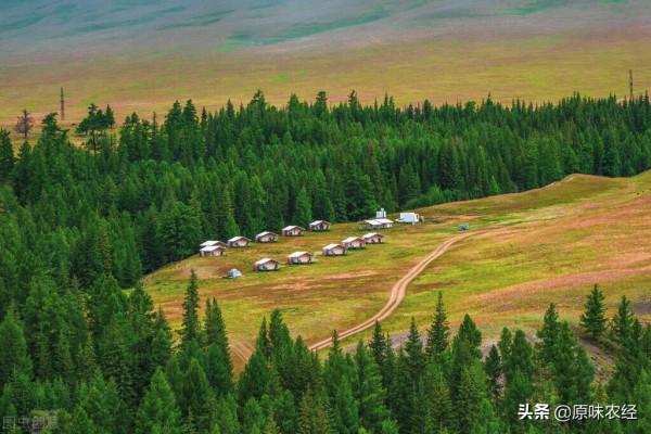 延長最低社保繳費年限，農民應排除在外