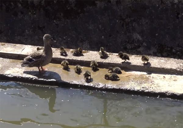 52歲的他放棄一切，住進33㎡“房船”中漂泊流浪，一晃已生活5年