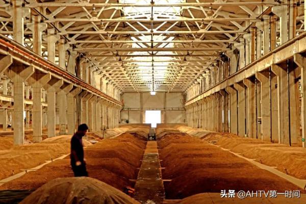 從古井再獲“質量大獎”，看白酒工匠精神的新時代內涵