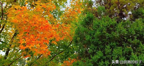 北京世園公園去了N多次還想去，我不會有問題吧？