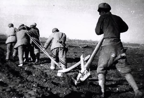 騎毛驢去看毛主席的庫爾班,臨終:後代參軍報國,重孫女完成遺願 騎毛驢去看毛主席的庫爾班,臨終:後代參軍報國,重孫女完成遺願