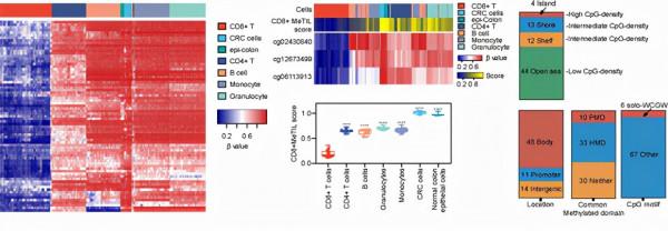 我國一年超400萬人患癌!中山大學在癌症研究領域,獲多項重要成果 我國一年超400萬人患癌!中山大學在癌症研究領域,獲多項重要成果