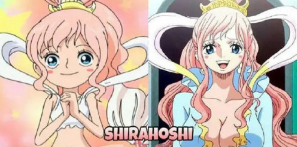 盤點《海賊王》各人物的幼年期，他還真是從小丑到大