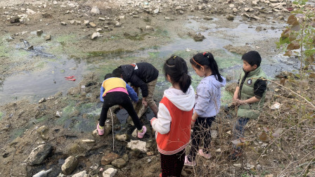 遙想八零後的童年生活(第十一篇) 遙想八零後的童年生活(第十一篇)