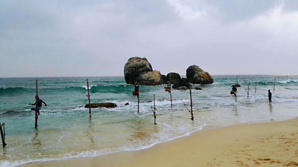 斯里蘭卡之旅（22）在科格勒(Koggala )體驗高蹺釣魚