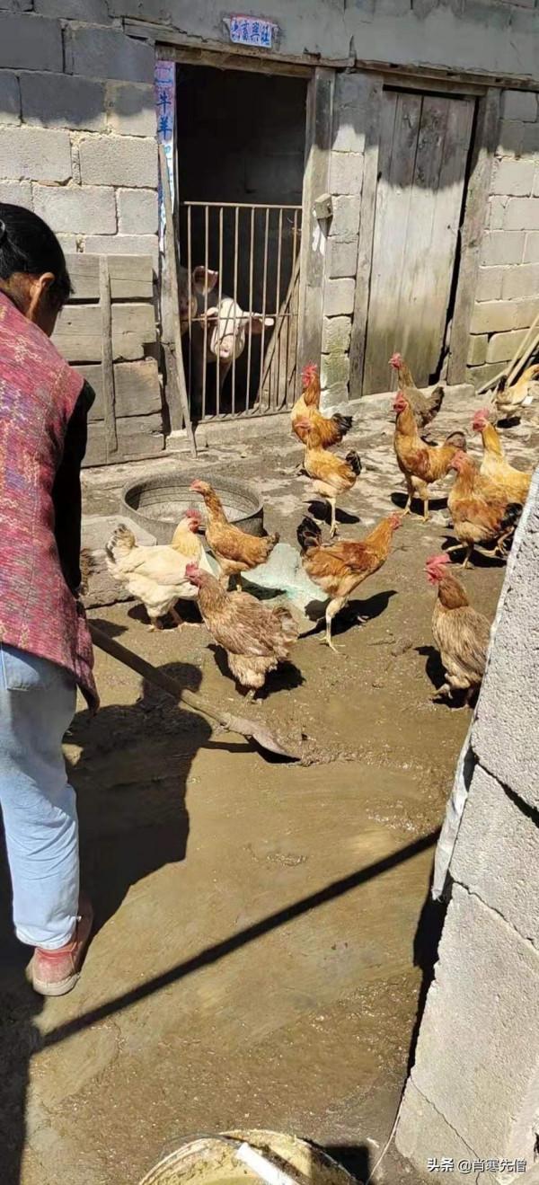 我，32歲，爸媽離婚後不婚不育，和奶奶在農村生活，每天6點起床