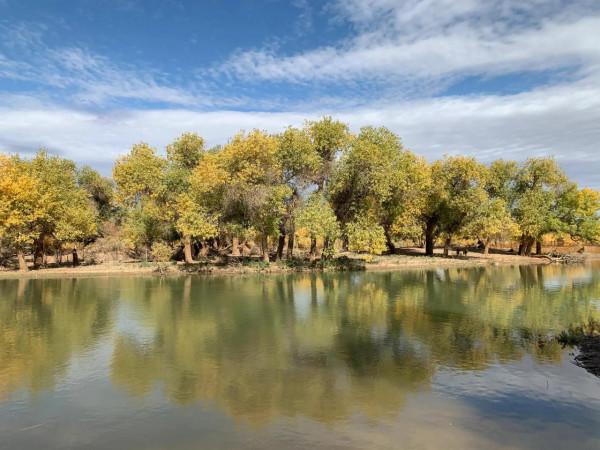 阿拉善英雄會~沙漠之旅 阿拉善英雄會~沙漠之旅