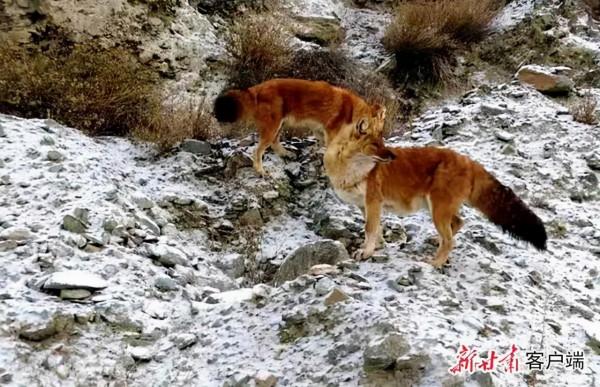 202“憶”② | 這些不期而遇，有靈且美！