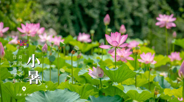 用二十四節氣開啟山東，齊風魯韻美如畫