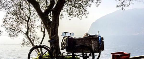 潘坤球:遠鄉(短小說) 潘坤球:遠鄉(短小說)