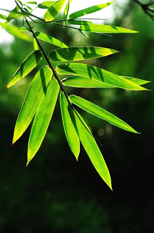 “搬不完”，—瓶不是為了賺錢的酒