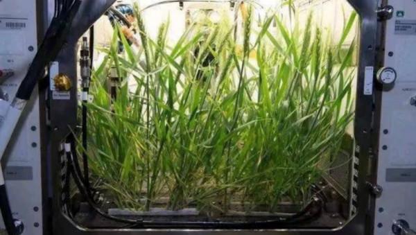 在軌時間超過3個月,航天員補給怎麼解決?神舟13號黑科技超神 在軌時間超過3個月,航天員補給怎麼解決?神舟13號黑科技超神