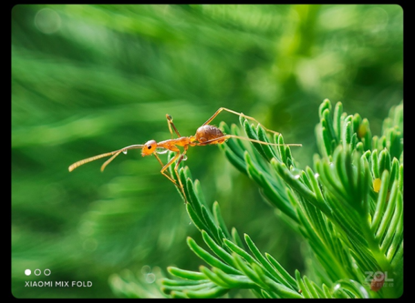 從Note到Mix 小米全系熱門手機推薦 從Note到Mix 小米全系熱門手機推薦