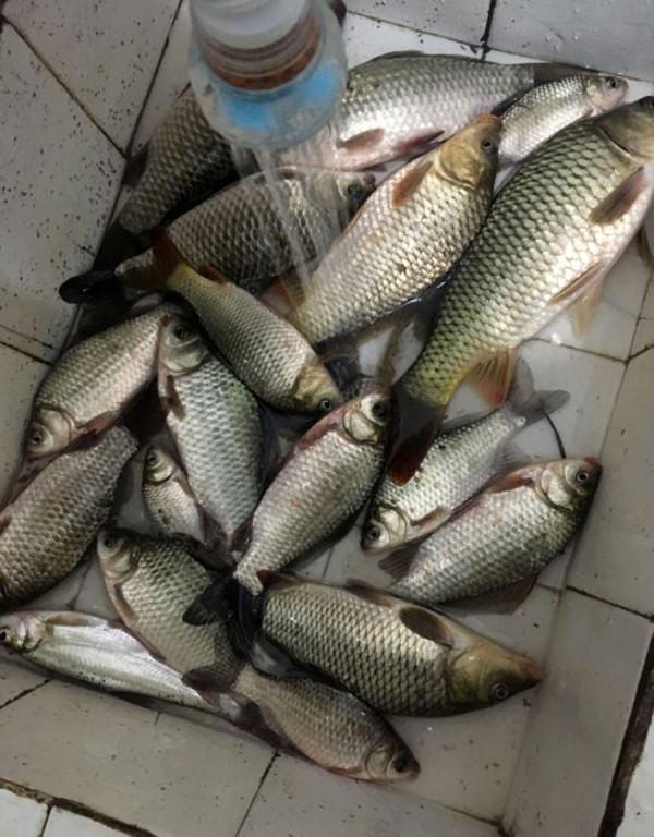 冬季釣不到魚別怪天氣不好，注意這幾點，再冷的天也有魚口
