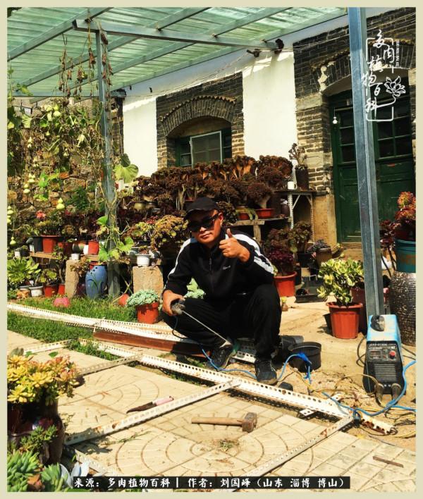 秋季多肉，你是王者歸來嗎？（附秋季養護知識）