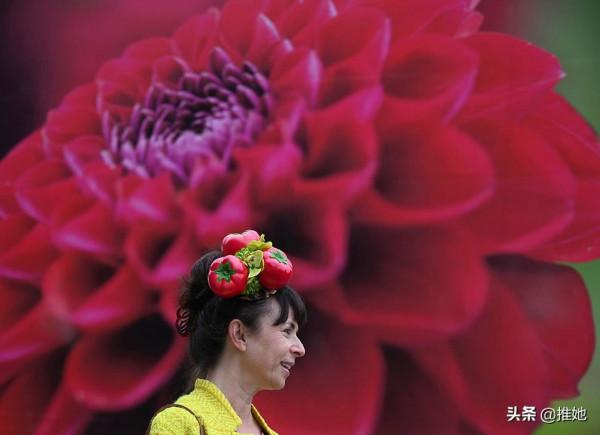 驚豔了109年,伊麗莎白女王的摯愛,又好看又好吃的切爾西花展 驚豔了109年,伊麗莎白女王的摯愛,又好看又好吃的切爾西花展