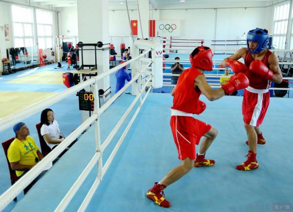 河南拳擊，收穫背後的耕耘