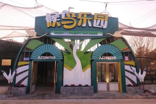 鄱陽湖風光:候鳥南歸鄱湖畔! 鄱陽湖風光:候鳥南歸鄱湖畔!