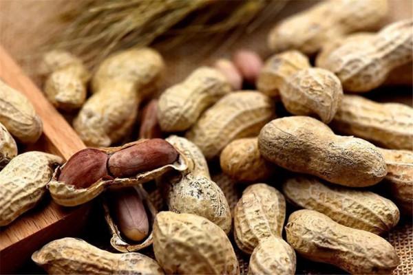 發黴、腐爛？食物發生這種情況需提高警惕
