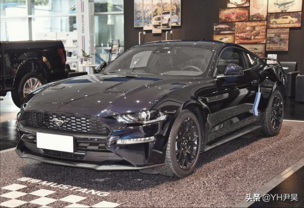 “他太帥了，請放過他”，美國網友的三觀有多奇葩？