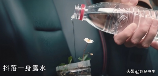 毛不易《旅行家說》，多年前的花兒和小船，成為難忘的心路歷程