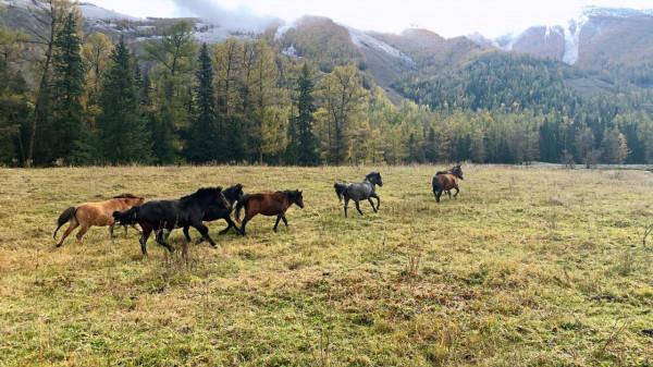 新疆，留給我的不只是美食與風光，而更多的是念念不忘