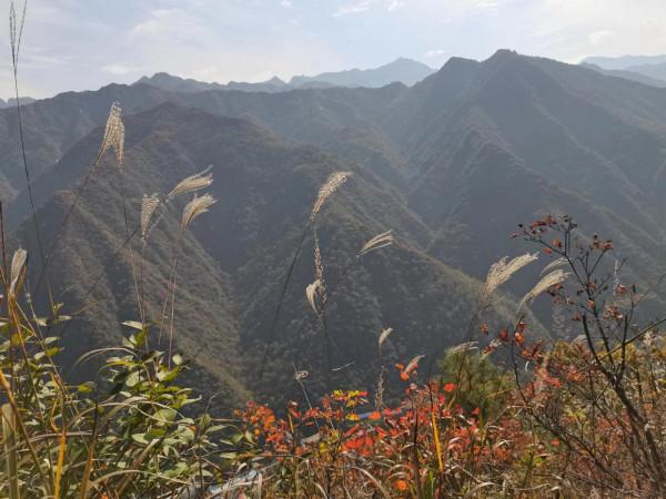 圭峰紅葉遍山,九小時歷程卻讓人驚心 圭峰紅葉遍山,九小時歷程卻讓人驚心